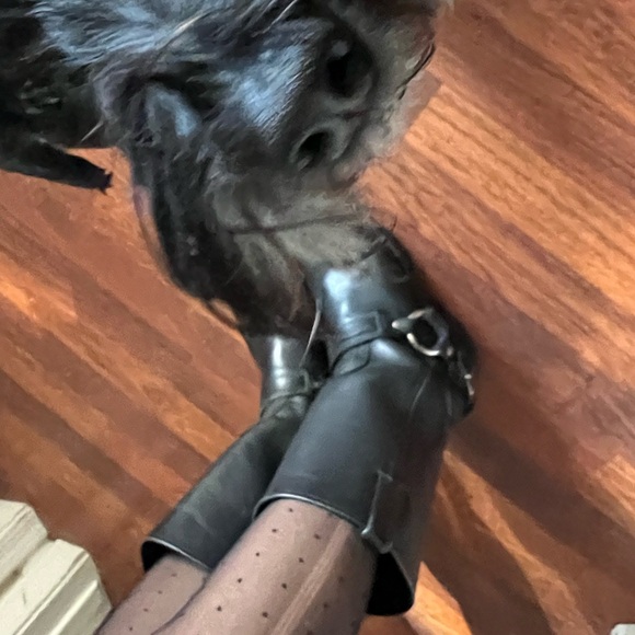 Frye Ladies Motorcycle Boots - Picture 6 of 6